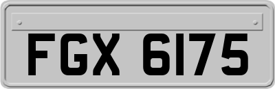 FGX6175