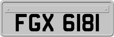 FGX6181