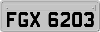FGX6203