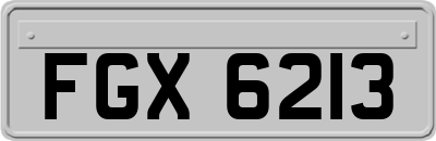 FGX6213