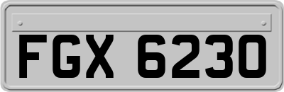 FGX6230
