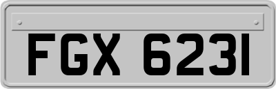 FGX6231