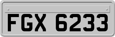 FGX6233