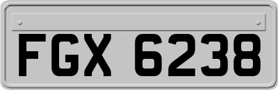 FGX6238