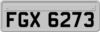 FGX6273