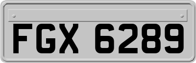 FGX6289