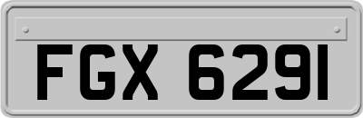 FGX6291