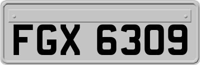 FGX6309