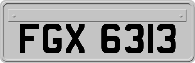FGX6313