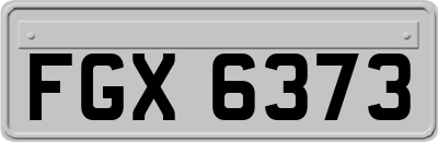 FGX6373
