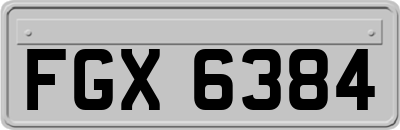 FGX6384