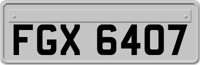 FGX6407