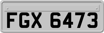 FGX6473