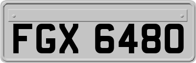FGX6480