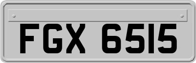 FGX6515