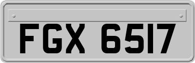 FGX6517