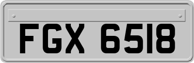 FGX6518