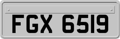 FGX6519
