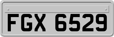 FGX6529