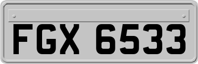 FGX6533