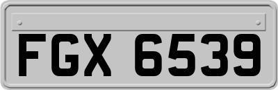 FGX6539