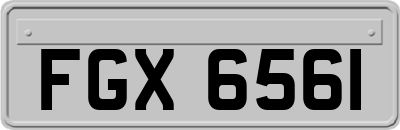 FGX6561