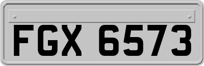 FGX6573