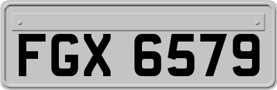 FGX6579