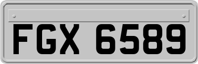 FGX6589