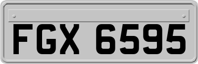 FGX6595