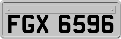 FGX6596