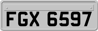 FGX6597