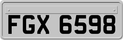 FGX6598