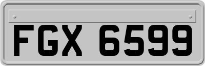 FGX6599