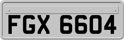 FGX6604