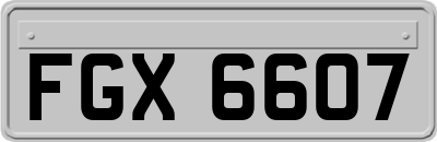 FGX6607