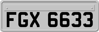 FGX6633