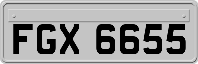 FGX6655