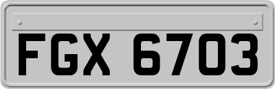 FGX6703