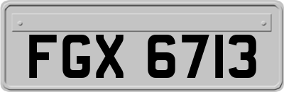 FGX6713