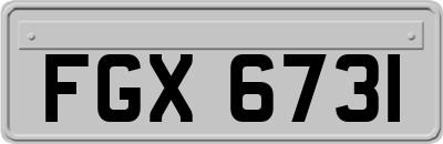 FGX6731