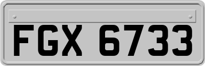 FGX6733