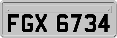 FGX6734