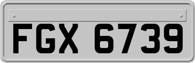 FGX6739
