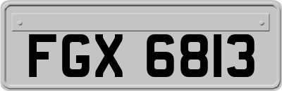 FGX6813