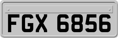 FGX6856