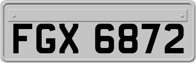 FGX6872