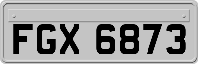 FGX6873