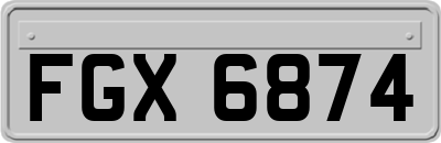 FGX6874