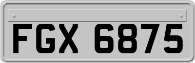 FGX6875